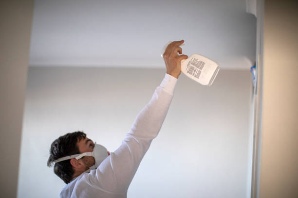 Best Mold Testing and Removal  in Holladay, UT