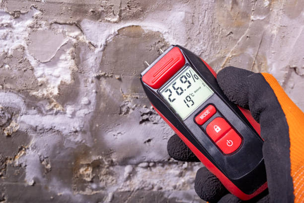 Mold Testing and Removal in Holladay, UT